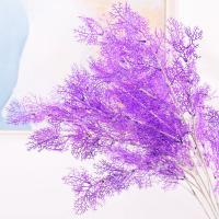 uploads/erp/collection/images/Home Garden/CongDing/XU0610433/img_b/XU0610433_img_b_1